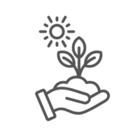 A hand holding a plant with soil and the sun