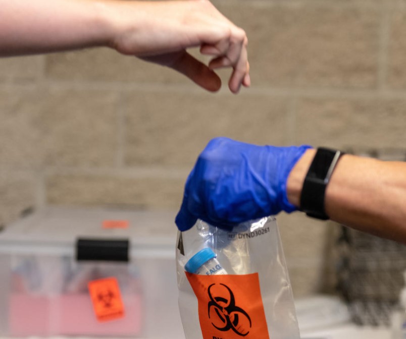 To ensure a safe start of the Spring 2021 semester, a mandatory COVID-19 testing is scheduled for Jan. 28. Health questionnaire and safety attestation form are also required. Click title for more details.