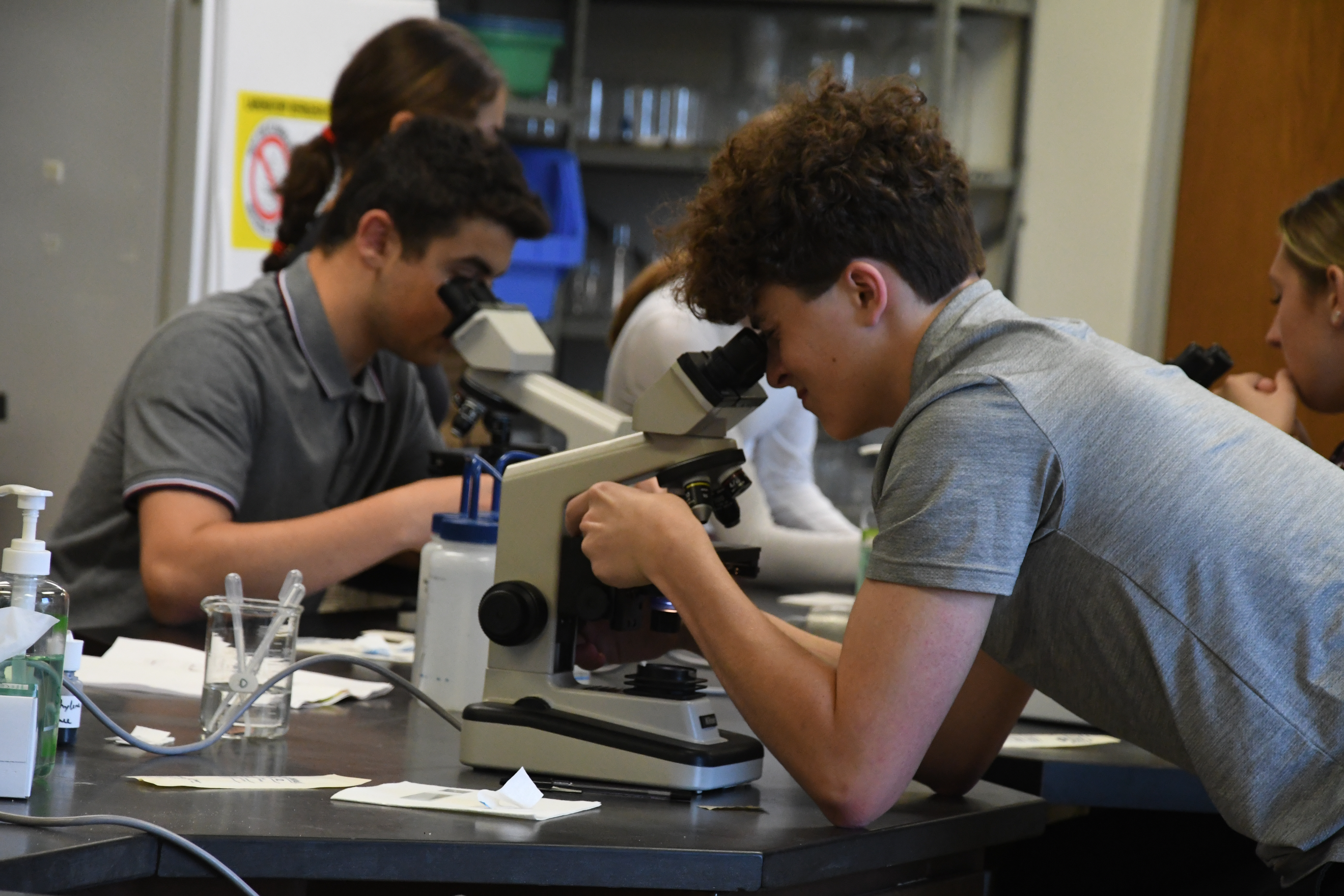 students - microscopy
