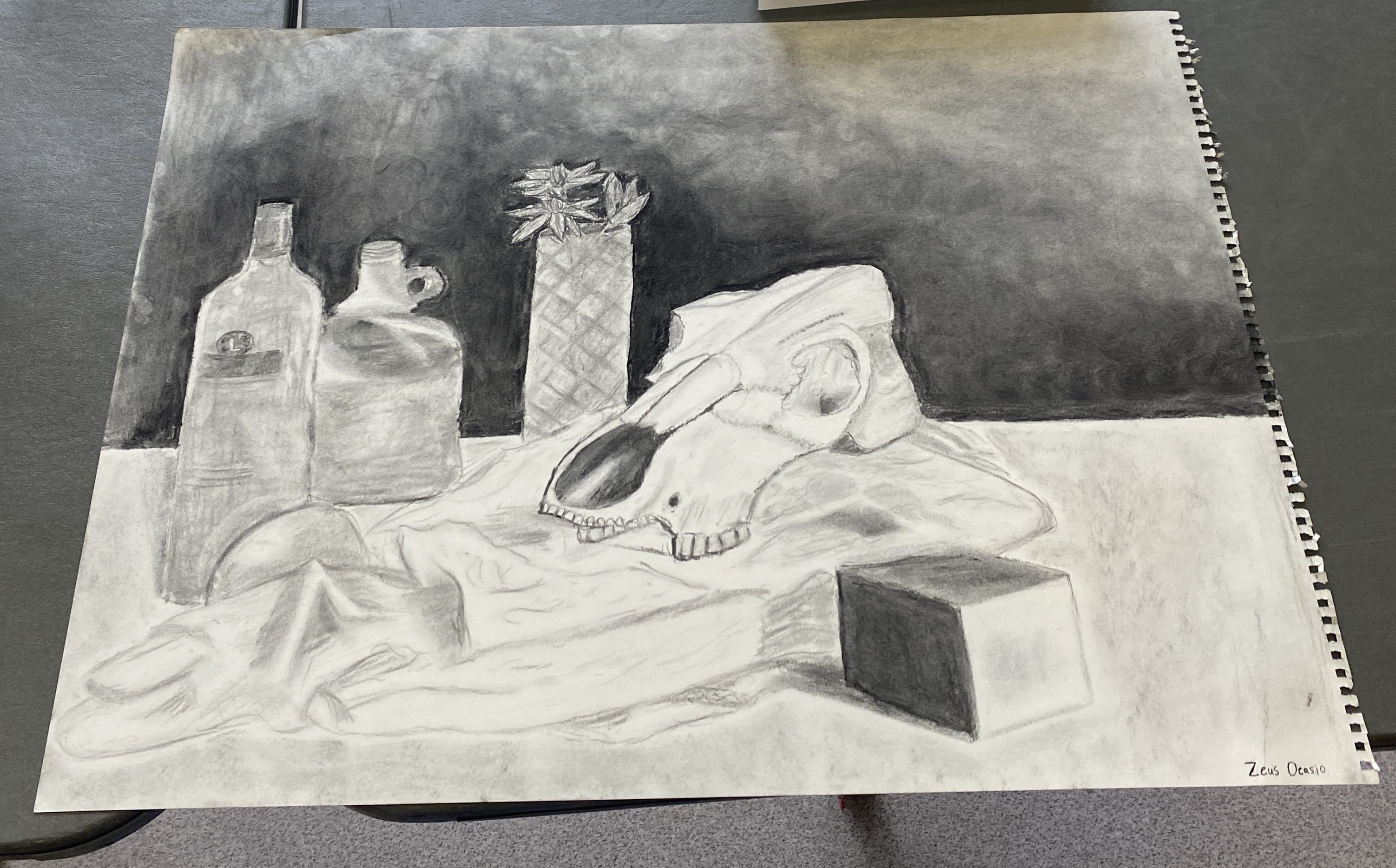 Soft Charcoal Drawing