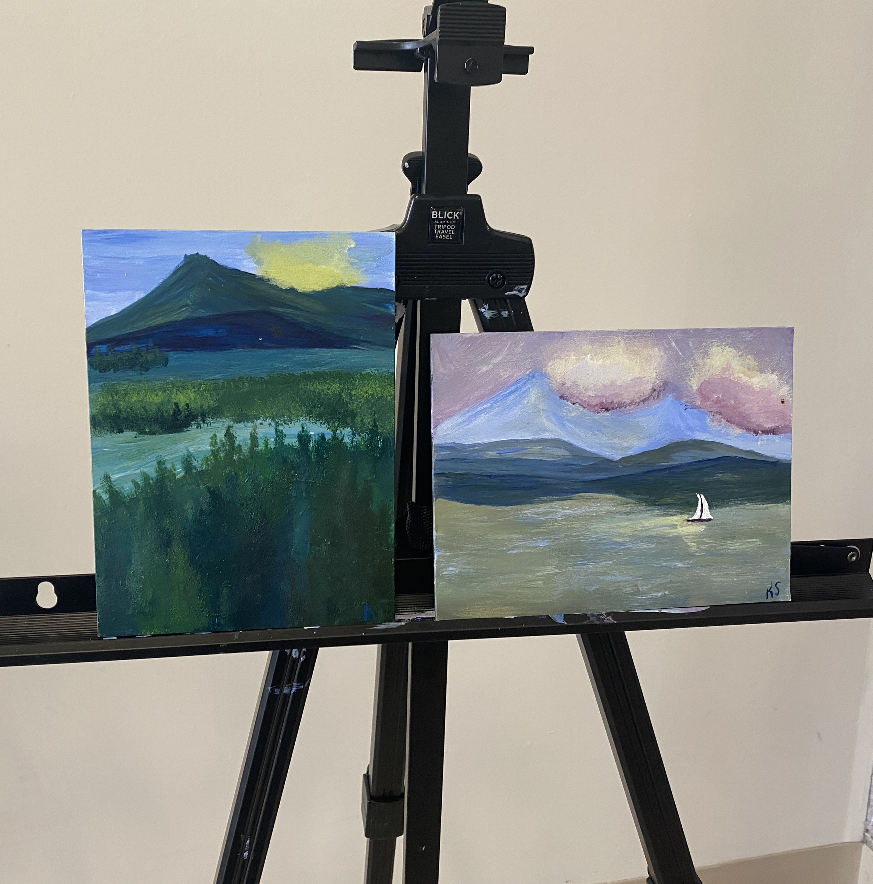 Plein Air Painting-Acrylics Artwork