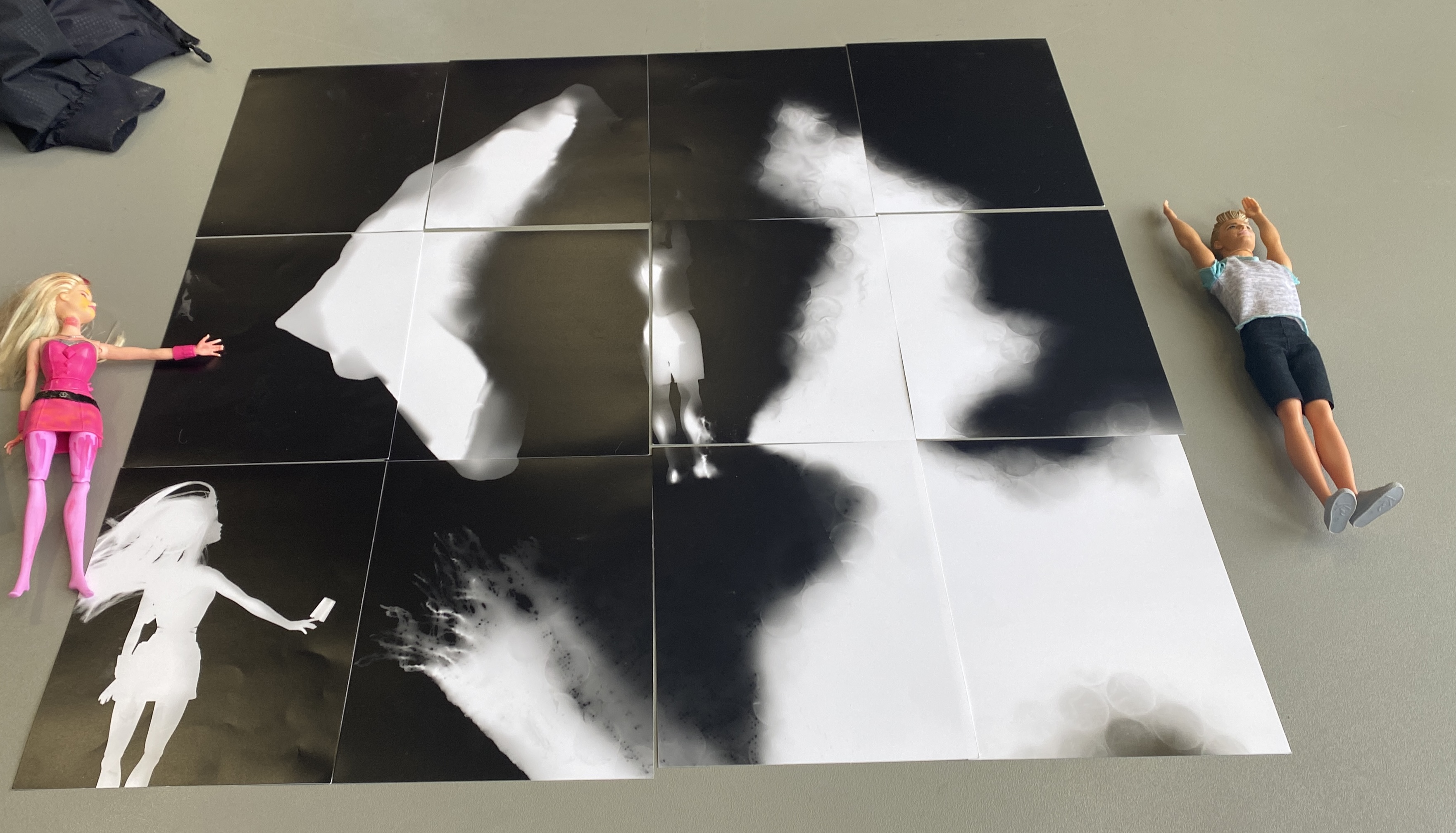 Photograms & Cyanotypes Artwork