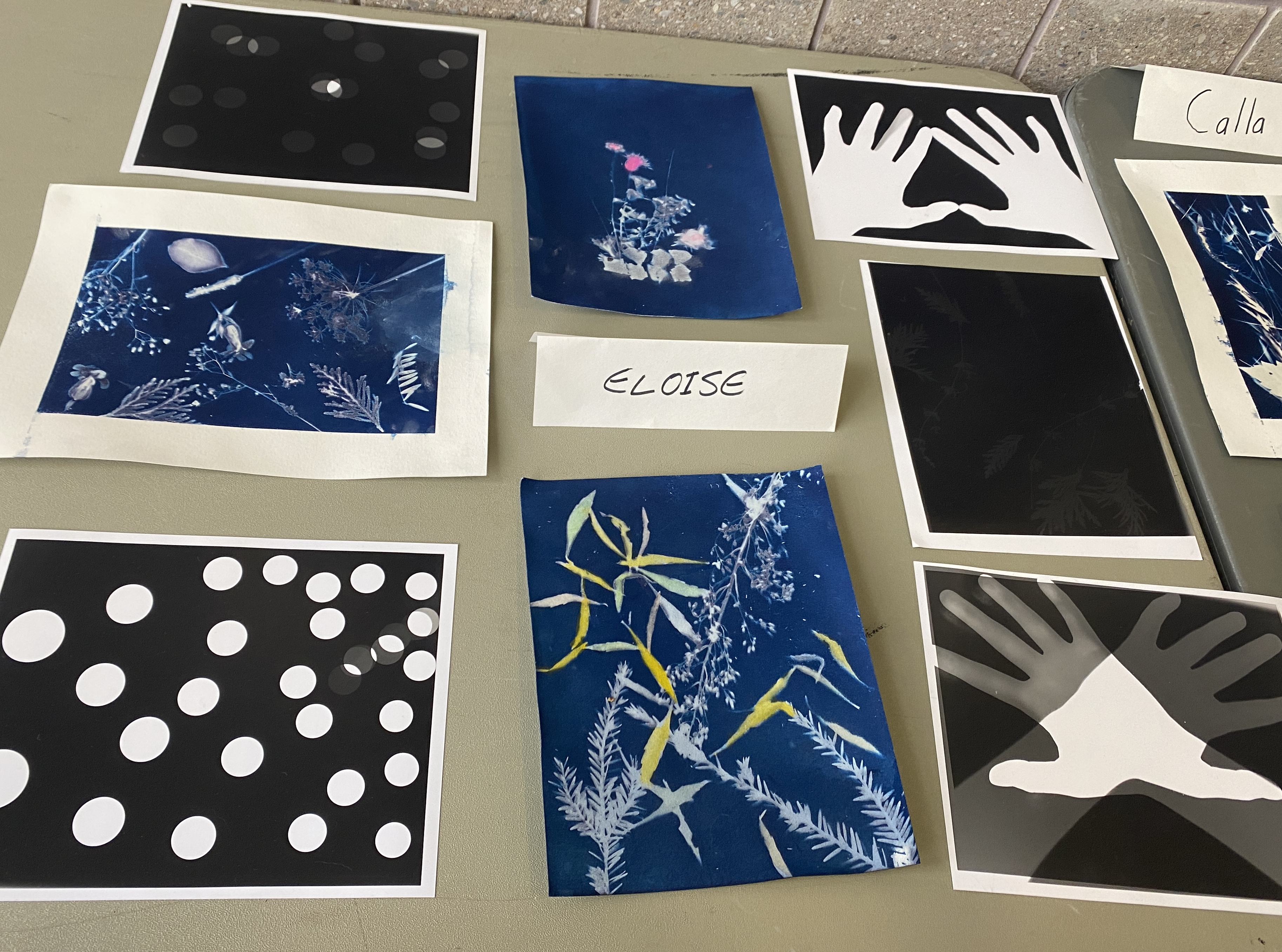 Elosie's Artwork
